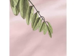 Drap-housse 180x200 Cm Blooming -Herman Miller Magasin linge de lit 11235391