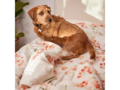 Housse De Couette 200x200 Cm Riomaggiore -Herman Miller Magasin linge de lit 11259233