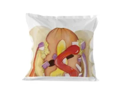 Taie D'oreiller 60x60 Cm Hotdog -Herman Miller Magasin linge de lit 11522433