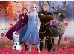 Parure De Couette 140 X 200 "la Reine Des Neiges" Trust Your Journey Microfibre / 100% Polyester -Herman Miller Magasin linge de lit 13204297