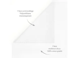 Protège Matelas Imperméable 180x210 Cm Bonnet 23cm ARNON Molleton Coton Contrecollé Polyuréthane -Herman Miller Magasin linge de lit 14166231