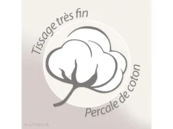 Taie D'oreiller 50x70 Cm Percale Coton CASCADE Vert Sauge -Herman Miller Magasin linge de lit 22966411