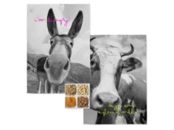 Torchon (2 Pièces) 70x50 Cm Farm