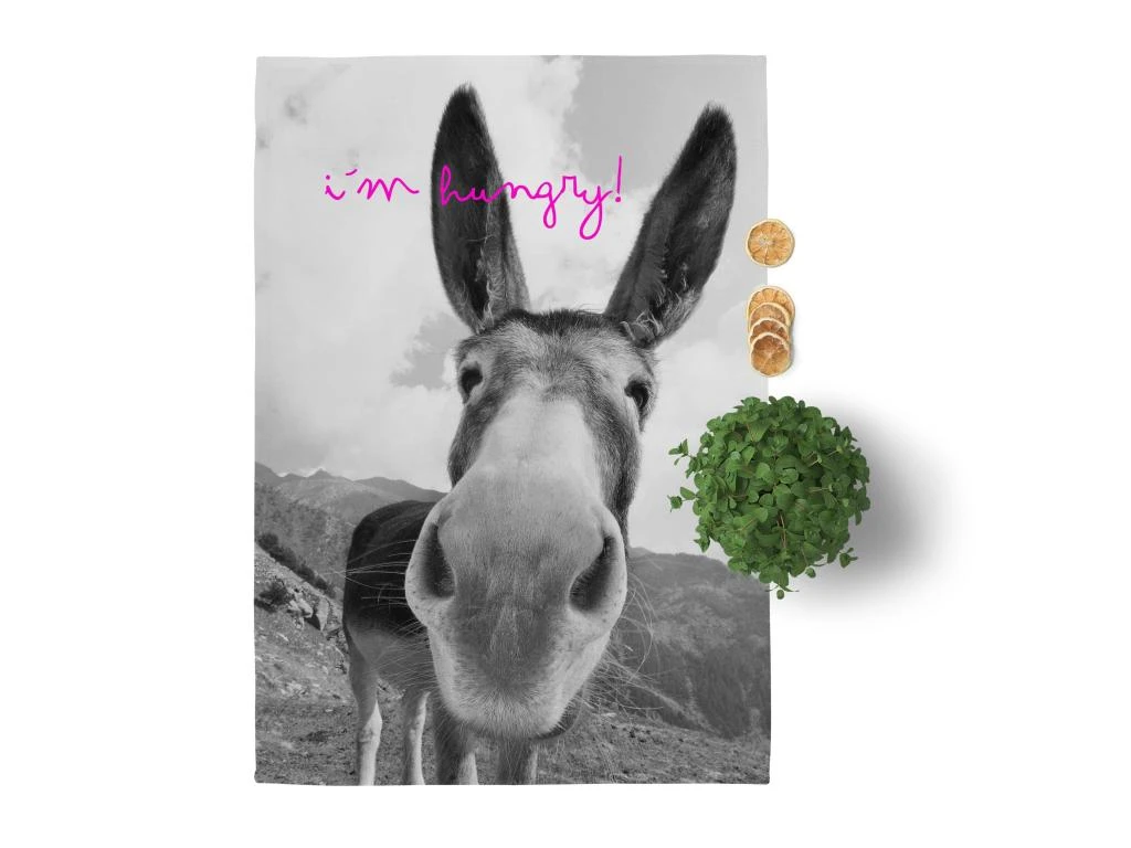 Torchon (2 Pièces) 70x50 Cm Farm 2 Torchon (2 Pièces) 70x50 Cm Farm – Image 2