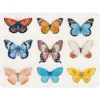 Set De Table En Vinyle Papillons Unitaire