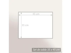 Lot De 2 Sets De Table 35x45 Cm Jacquard 100% Polyester BRUNCH Anthracite -Herman Miller Magasin linge de table 8947165