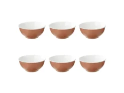 Lot De 6 Bols En Porcelaine "Nature" 52cl Terracotta